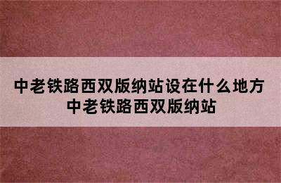 中老铁路西双版纳站设在什么地方 中老铁路西双版纳站